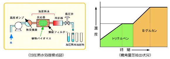 ���O���J������